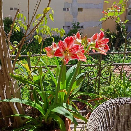 Cuba'S Art House Apartment Palermo Ngoại thất bức ảnh